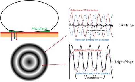 optical interferometry for thickness